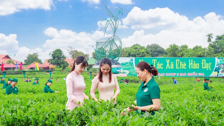Kinh tế tập thể: Vượt sóng gió, đón thời cơ để vươn tầm