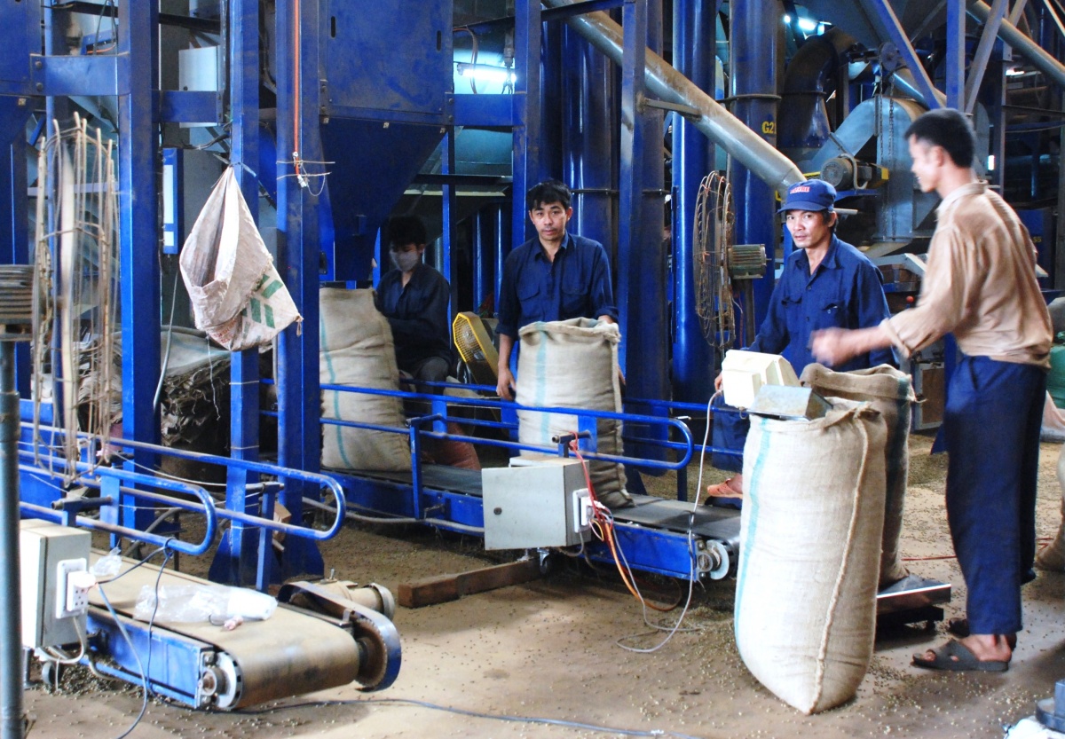 Hoàn thiện cơ chế chính sách thuế, “mở khóa” cho doanh nghiệp nông sản Hoàn thiện cơ chế chính sách thuế, “mở khóa” cho doanh nghiệp nông sản