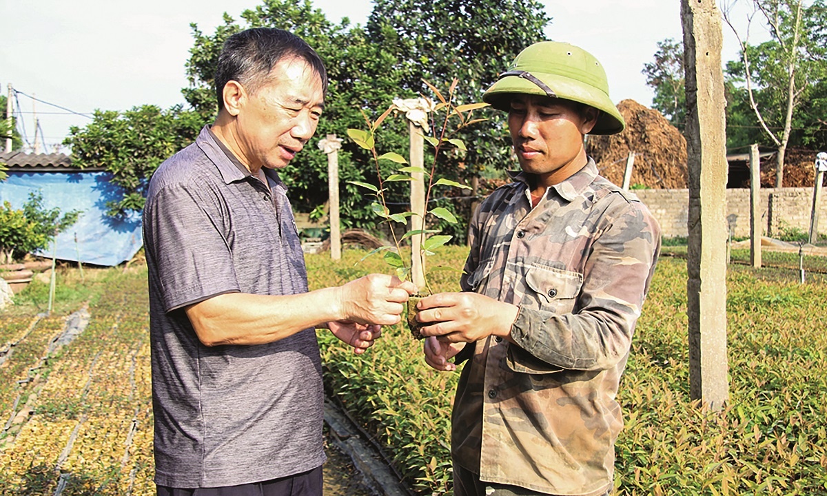Cần gắn kết chặt chẽ nền kinh tế bạc với xu hướng chuyển đổi xanh và chuyển đổi số Cần gắn kết chặt chẽ nền kinh tế bạc với xu hướng chuyển đổi xanh và chuyển đổi số