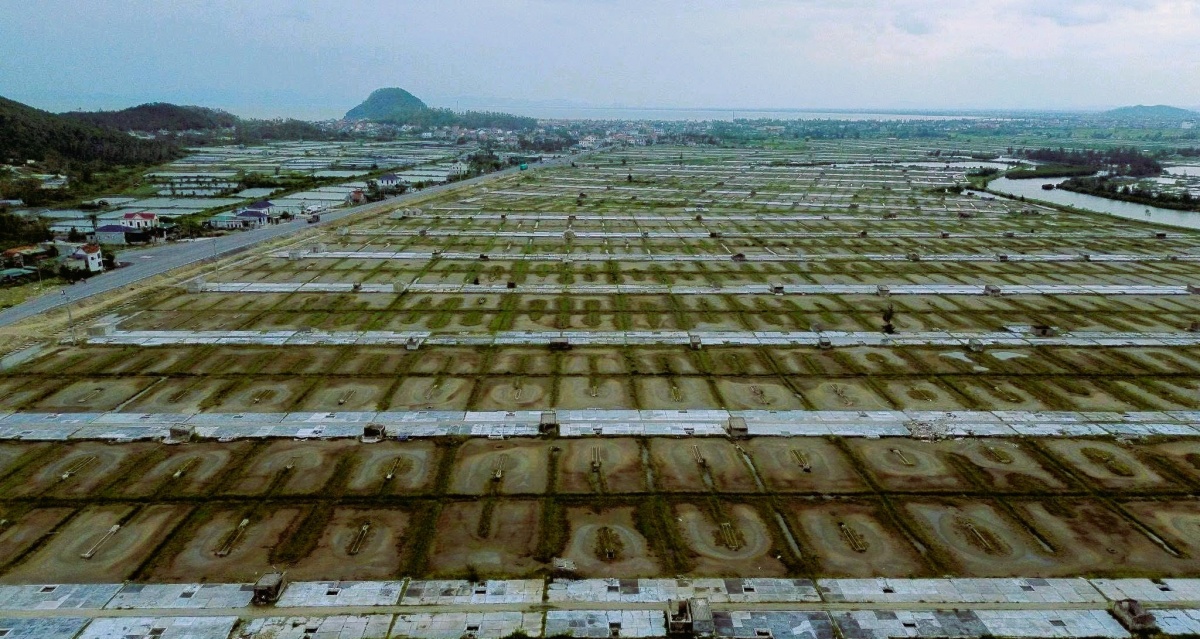 Tín dụng xanh mở lối phát triển bền vững vùng Tây Nghệ An Tín dụng xanh mở lối phát triển bền vững vùng Tây Nghệ An