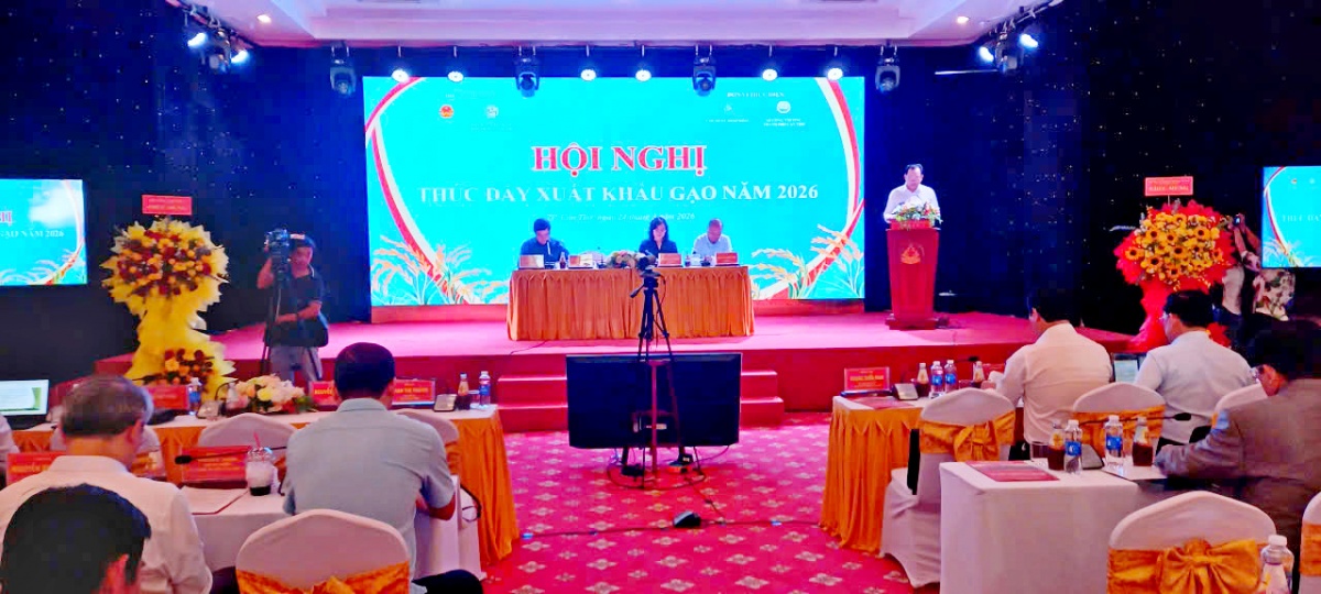 Doanh nghiệp xuất khẩu gạo đối mặt với khó khăn kép