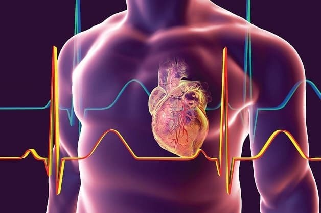 Tập thể dục buổi sáng hay buổi chiều: Khi nào tốt nhất cho sức khỏe tim mạch? Tập thể dục buổi sáng hay buổi chiều: Khi nào tốt nhất cho sức khỏe tim mạch?