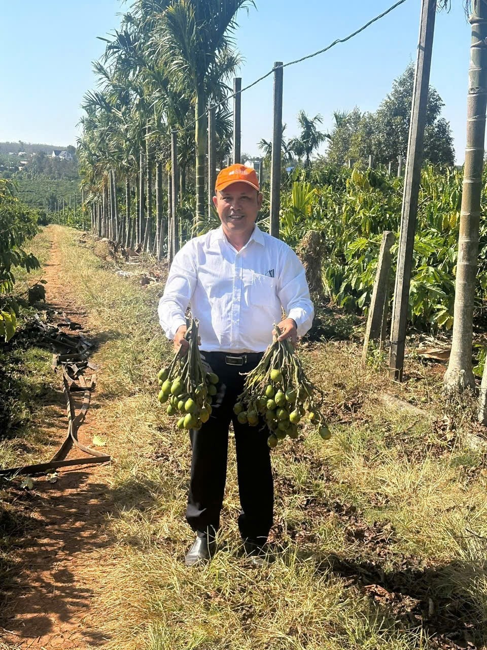 undefined Khi dòng vốn chảy giữa đại ngàn Tây Nguyên