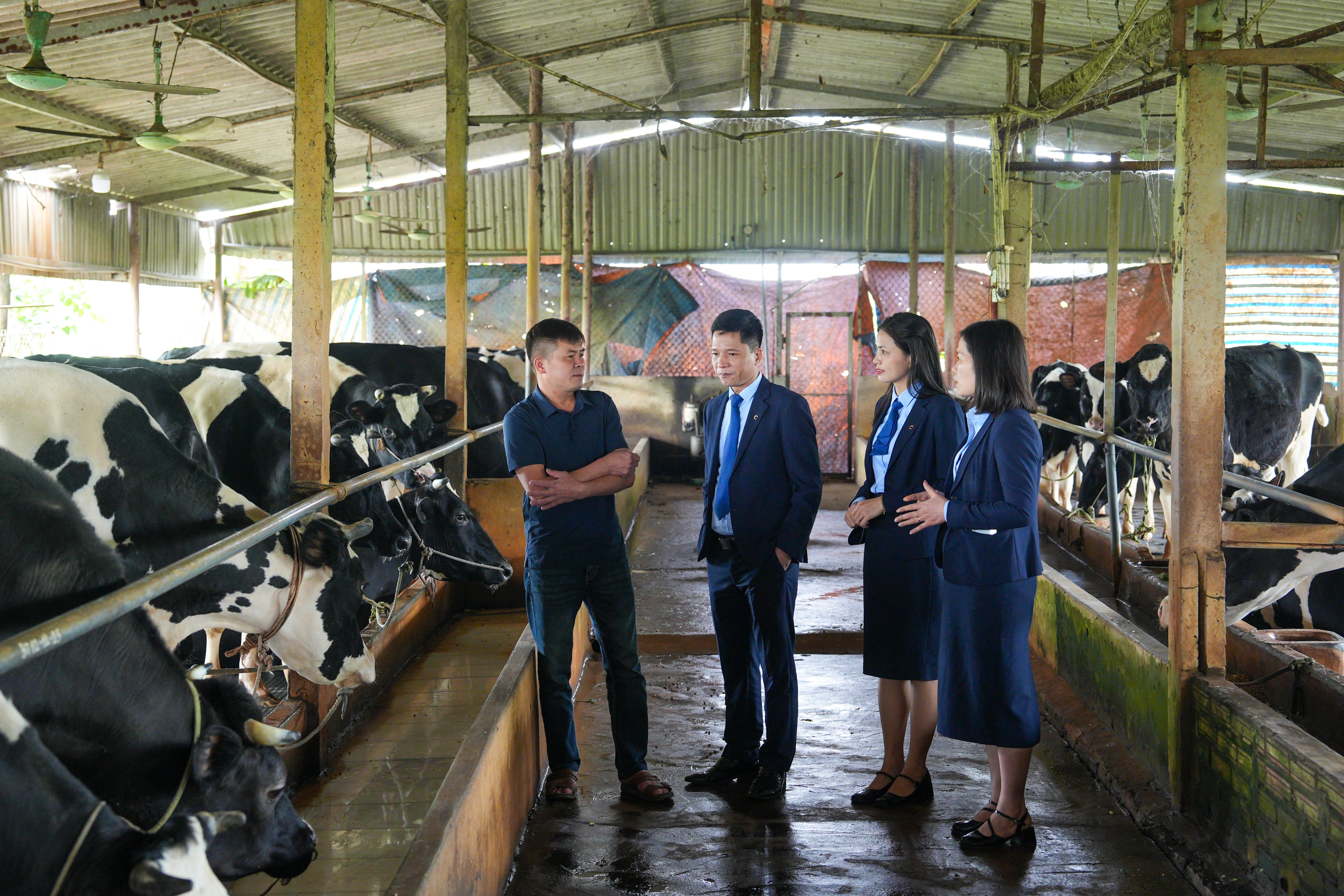 Tiếp thêm sức sống cho phát triển kinh tế nông thôn Tiếp thêm sức sống cho phát triển kinh tế nông thôn