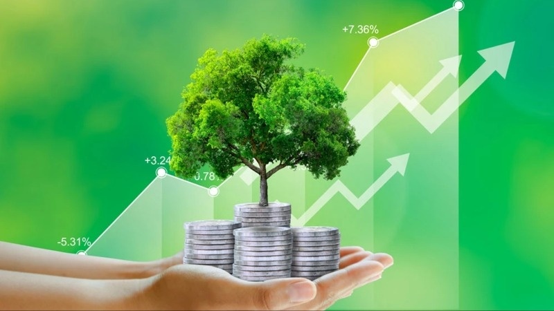Gỡ điểm nghẽn để khơi thông dòng vốn xanh Gỡ điểm nghẽn để khơi thông dòng vốn xanh