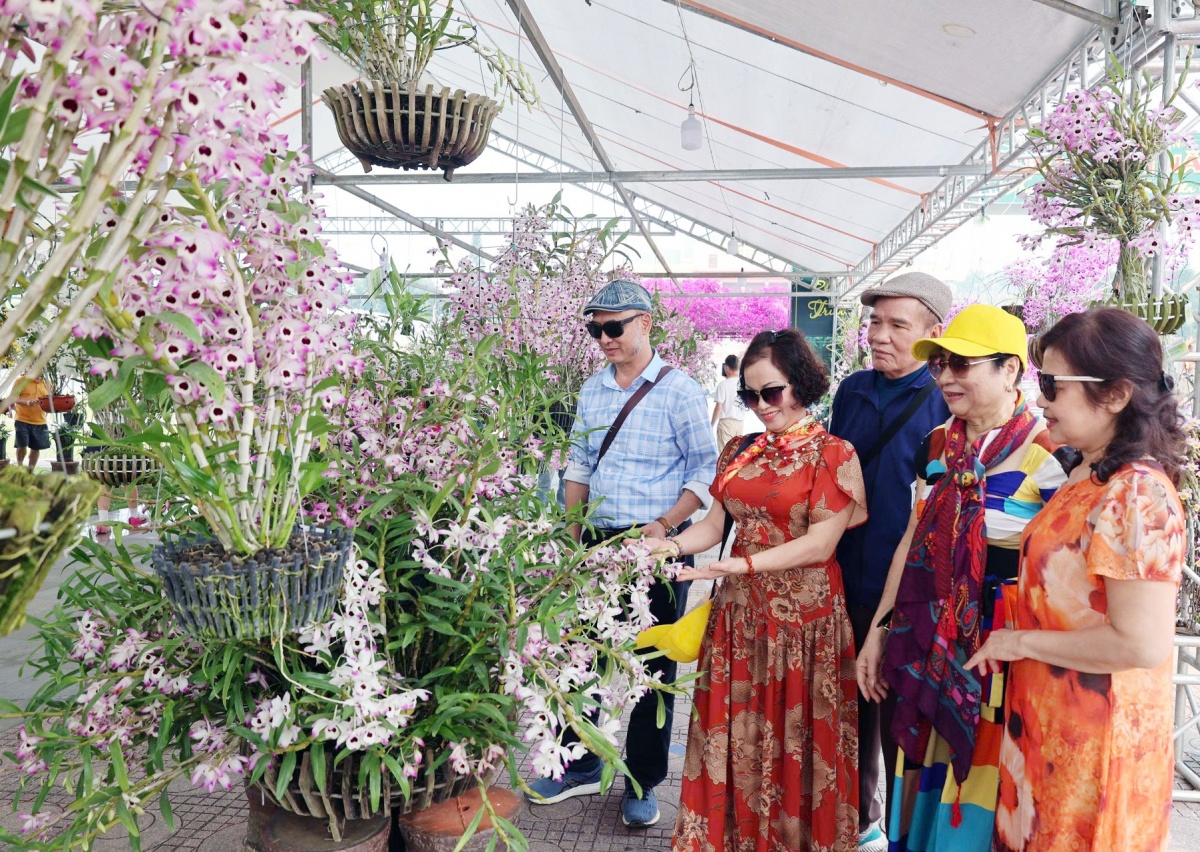 Hương sắc hoa lan, nét dịu dàng giữa đại ngàn Tây Bắc