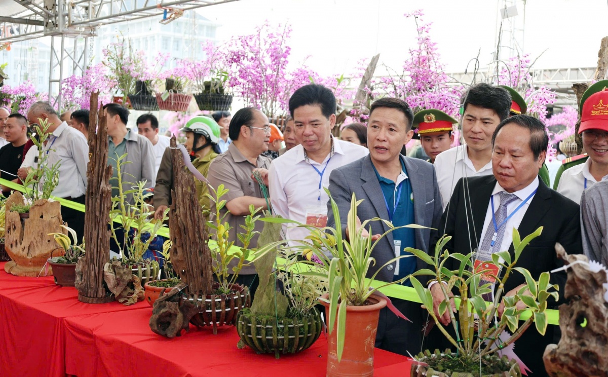 Hương sắc hoa lan, nét dịu dàng giữa đại ngàn Tây Bắc