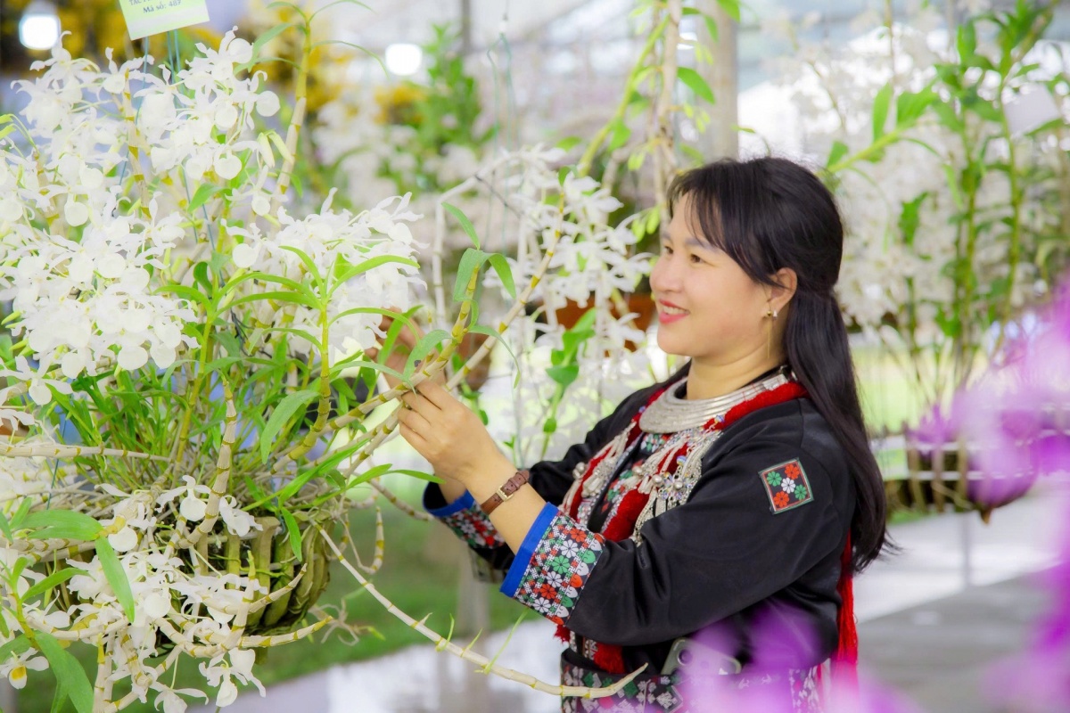 Hương sắc hoa lan, nét dịu dàng giữa đại ngàn Tây Bắc