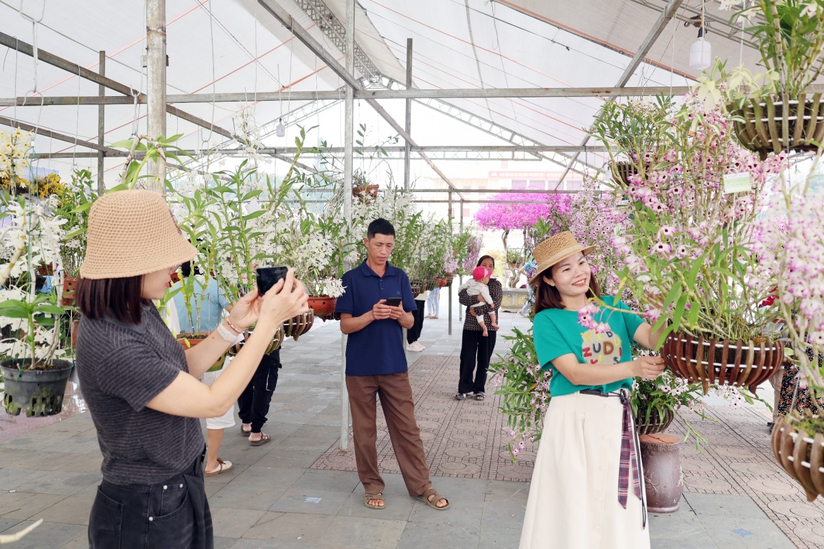 Hương sắc hoa lan, nét dịu dàng giữa đại ngàn Tây Bắc