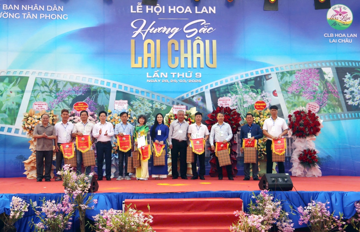 Hương sắc hoa lan, nét dịu dàng giữa đại ngàn Tây Bắc