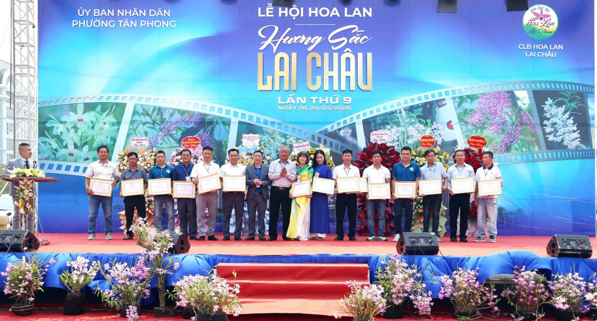 Hương sắc hoa lan, nét dịu dàng giữa đại ngàn Tây Bắc