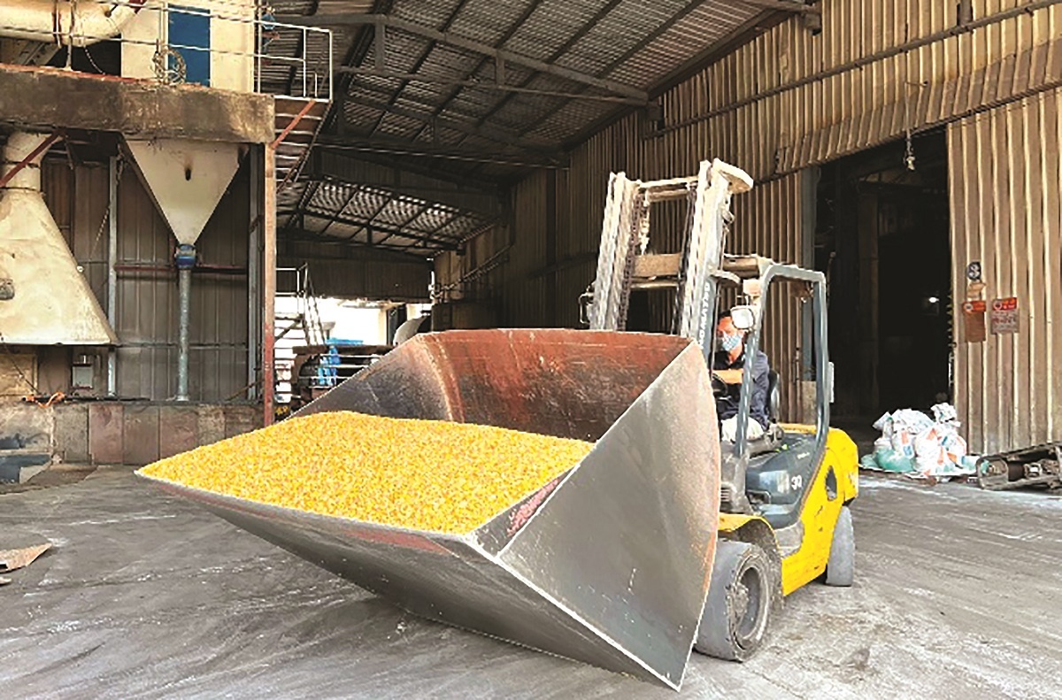 Doanh nghiệp thức ăn chăn nuôi tăng giá để bù đắp chi phí