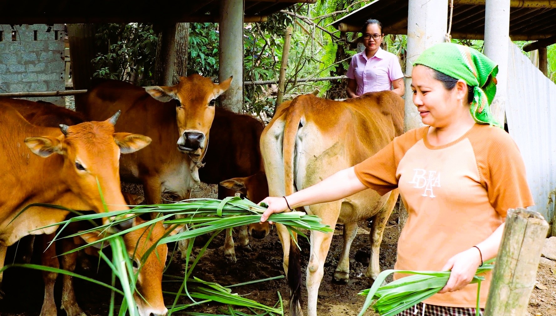 Dòng vốn chính sách “chảy” mạnh về vùng khó khăn, tạo sinh kế bền vững Dòng vốn chính sách “chảy” mạnh về vùng khó khăn, tạo sinh kế bền vững