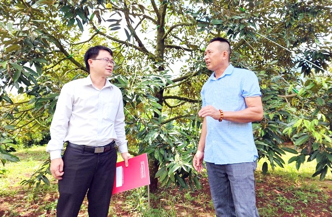Đắk Lắk hoàn thiện đề án Lễ hội Sầu riêng lần thứ I năm 2026 Đắk Lắk hoàn thiện đề án Lễ hội Sầu riêng lần thứ I năm 2026