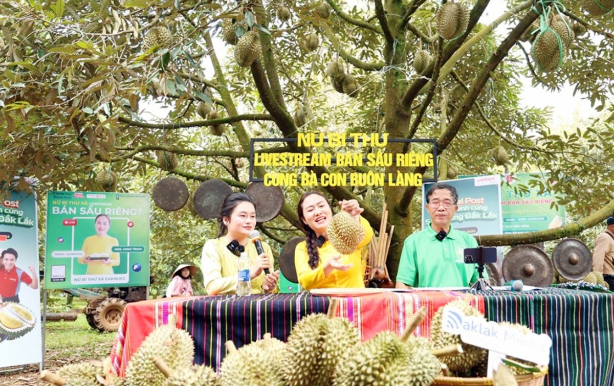 Đắk Lắk hoàn thiện đề án Lễ hội Sầu riêng lần thứ I năm 2026 Đắk Lắk hoàn thiện đề án Lễ hội Sầu riêng lần thứ I năm 2026