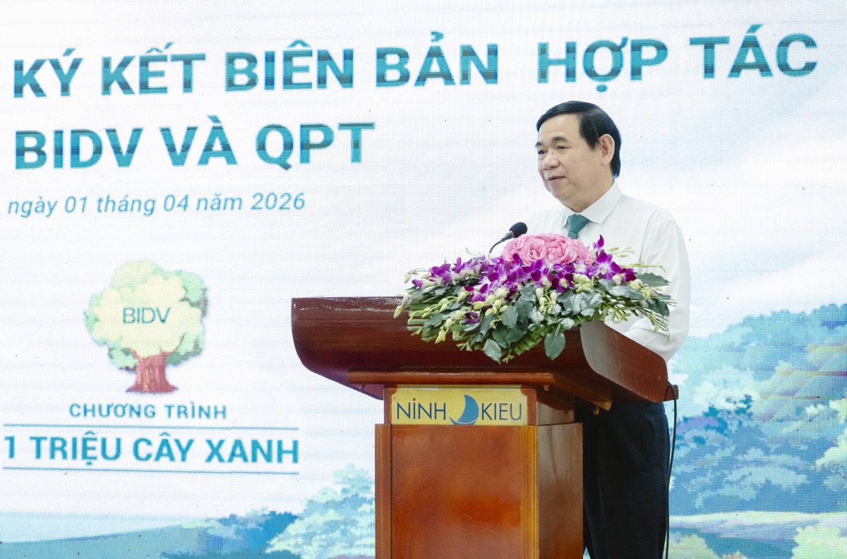 BIDV và Quỹ Cộng đồng phòng tránh thiên tai trồng 240.000 cây xanh tại Đồng bằng sông Cửu Long BIDV và Quỹ Cộng đồng phòng tránh thiên tai trồng 240.000 cây xanh tại Đồng bằng sông Cửu Long
