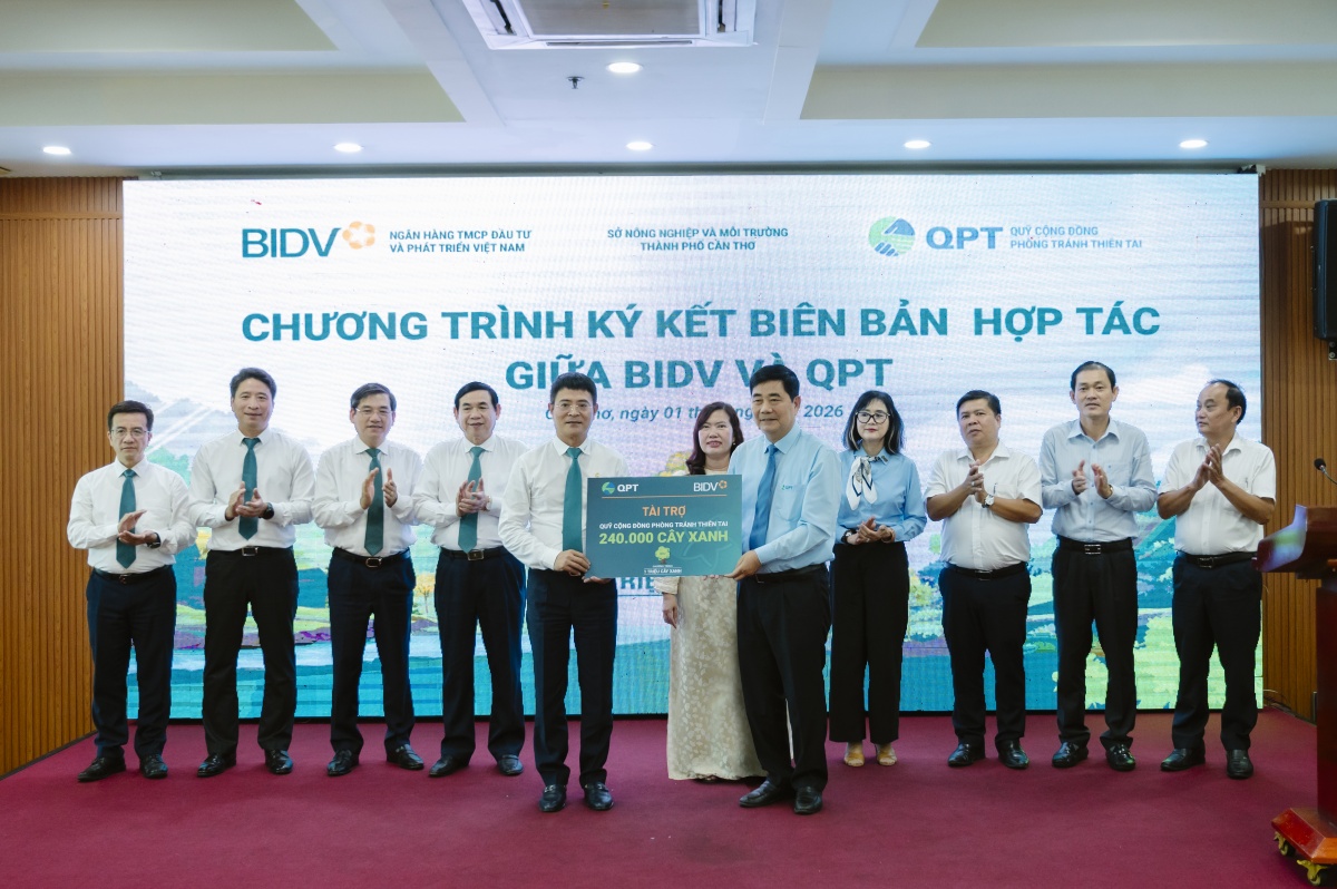 BIDV và Quỹ Cộng đồng phòng tránh thiên tai trồng 240.000 cây xanh tại Đồng bằng sông Cửu Long BIDV và Quỹ Cộng đồng phòng tránh thiên tai trồng 240.000 cây xanh tại Đồng bằng sông Cửu Long