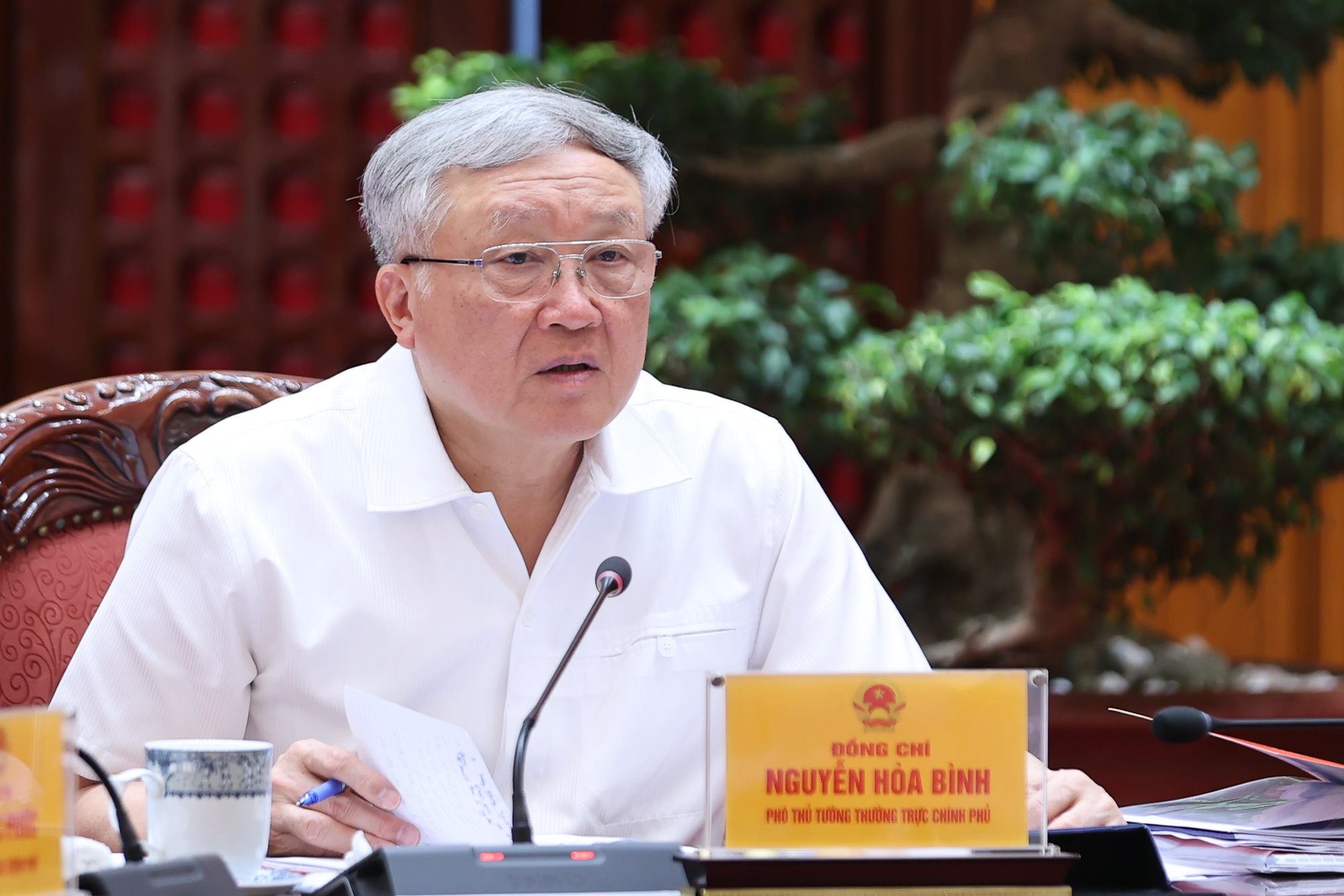 Phó Thủ tướng Thường trực Nguyễn Hòa Bình phát biểu - Ảnh: VGP/Nhật Bắc