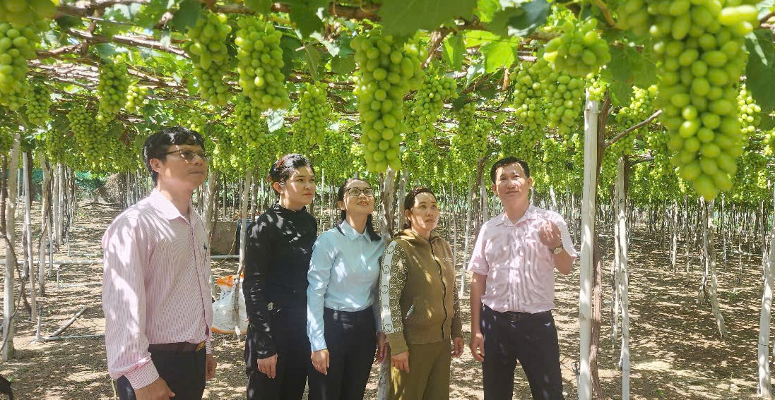Ban đại diện cấp xã “cầu nối” gắn kết ngân hàng với chính quyền, nâng cao hiệu quả sử dụng vốn. Ban đại diện cấp xã “cầu nối” gắn kết ngân hàng với chính quyền, nâng cao hiệu quả sử dụng vốn.