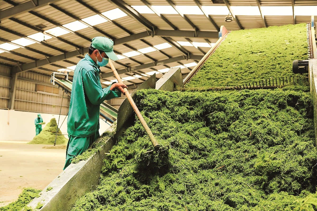 Không chỉ là khẩu hiệu, văn hóa đang quyết định sống còn doanh nghiệp 