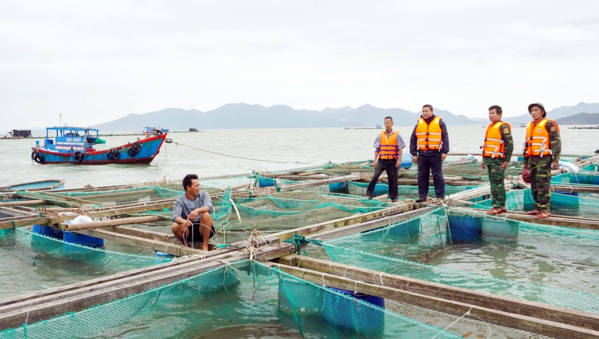 Người nuôi trồng thủy sản ở Nam Trung Bộ chật vật tìm lại nhịp sống Người nuôi trồng thủy sản ở Nam Trung Bộ chật vật tìm lại nhịp sống