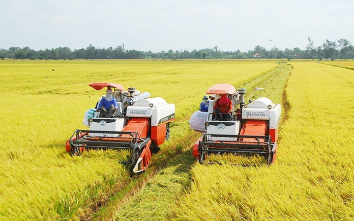 Để giảm phát thải trở thành lợi thế cạnh tranh, điều cốt lõi không nằm ở sản xuất, mà ở khả năng định danh và chuyển hóa giá trị đó trên thị trường Để giảm phát thải trở thành lợi thế cạnh tranh, điều cốt lõi không nằm ở sản xuất, mà ở khả năng định danh và chuyển hóa giá trị đó trên thị trường
