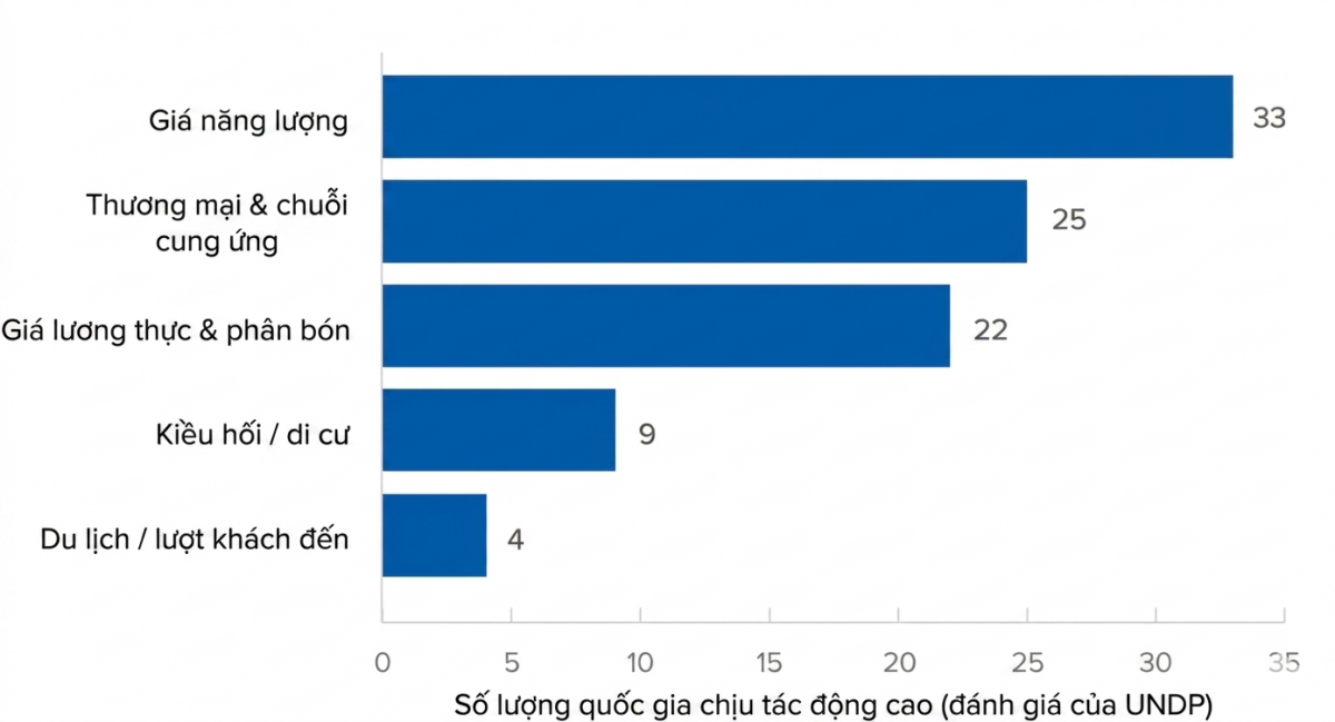 Cần tăng cường khả năng chống chịu trước tác động của xung đột tại Trung Đông, theo UNDP