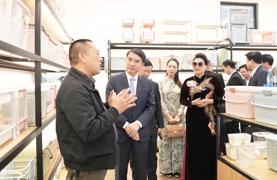 Phó Chủ tịch UBND thành phố Hà Nội Nguyễn Xuân Lưu thăm Công ty TNHH Nhựa Việt Nhật (xã Dân Hòa). Ảnh: Thái Hồng