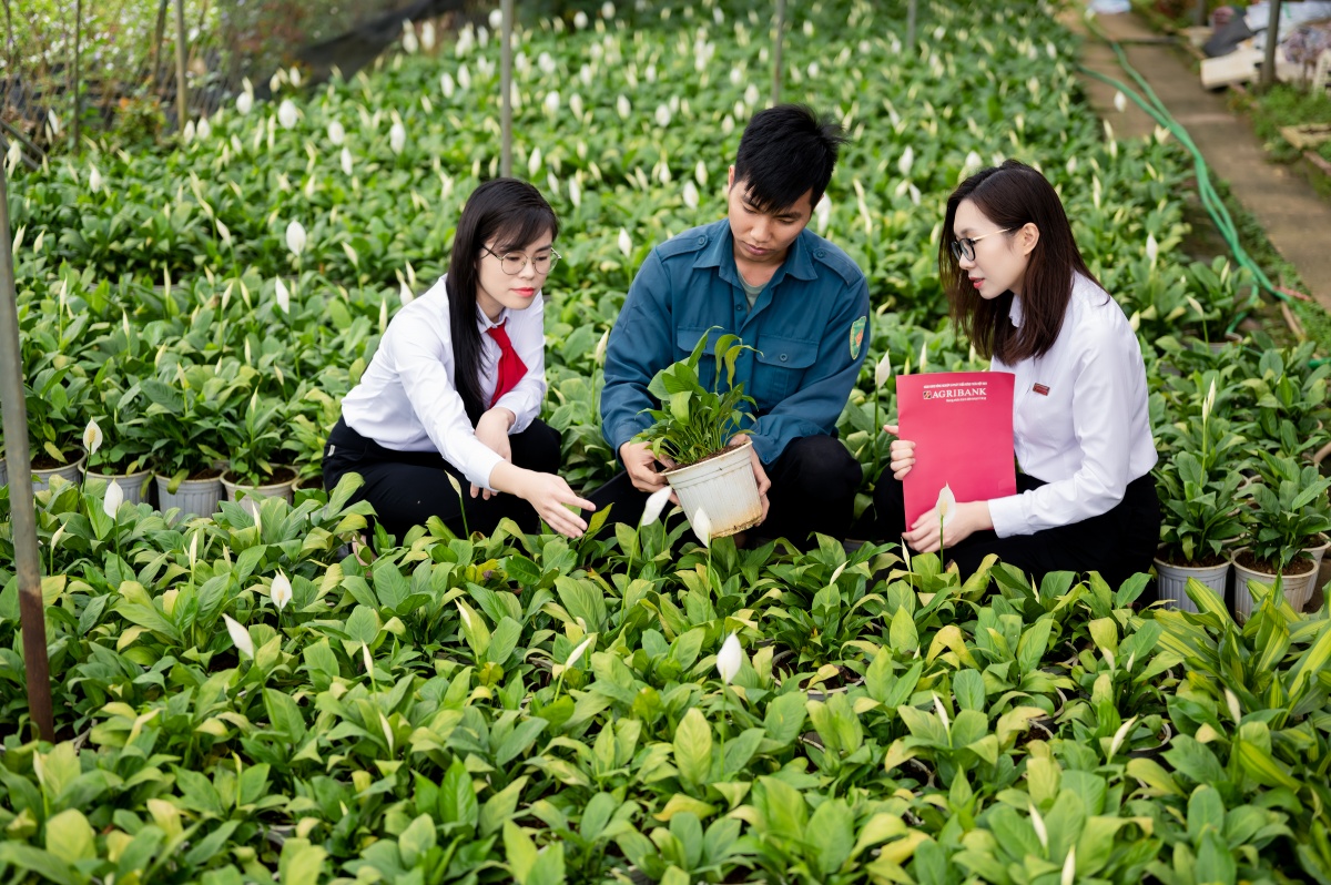 Agribank hướng dòng vốn vào lĩnh vực nông nghiệp xanh Agribank hướng dòng vốn vào lĩnh vực nông nghiệp xanh