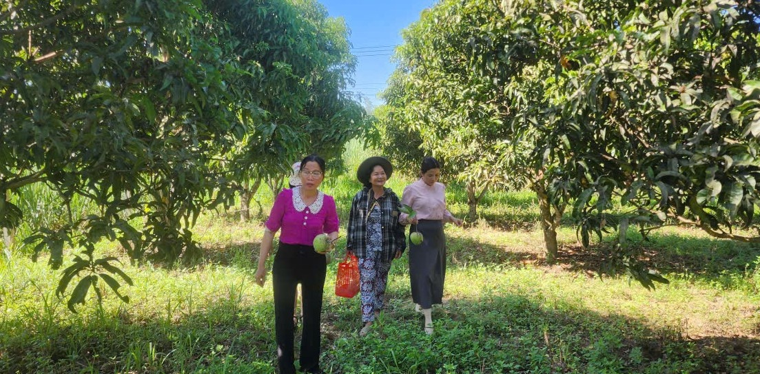 Gia đình bà Nguyễn Thị Tuyết Thu (giữa) tại xã Diên Thọ, cũng đã vượt qua khó khăn nhờ nguồn vốn vay giải quyết việc làm.