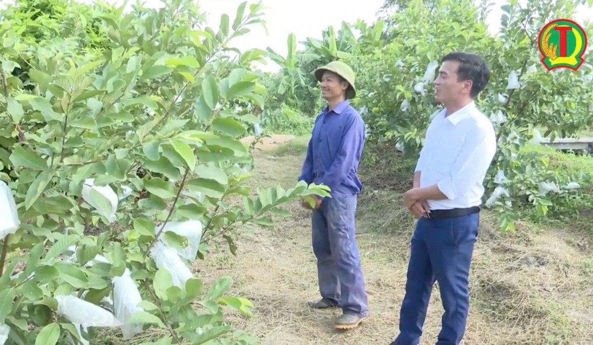 Cán bộ tín dụng kiểm tra sử dụng vốn vay của thành viên Cán bộ tín dụng kiểm tra sử dụng vốn vay của thành viên