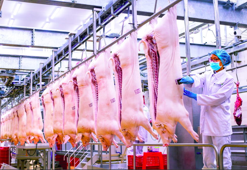 Ngành chăn nuôi Việt Nam: Doanh nghiệp nội đổi “cách chơi” để cạnh tranh FDI Ngành chăn nuôi Việt Nam: Doanh nghiệp nội đổi “cách chơi” để cạnh tranh FDI