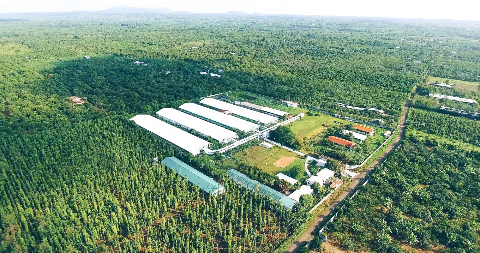 Tận dụng nguồn lực và nhân lực thúc đẩy tăng trưởng xanh, bền vững cho giai đoạn 10 năm tới Tận dụng nguồn lực và nhân lực thúc đẩy tăng trưởng xanh, bền vững cho giai đoạn 10 năm tới