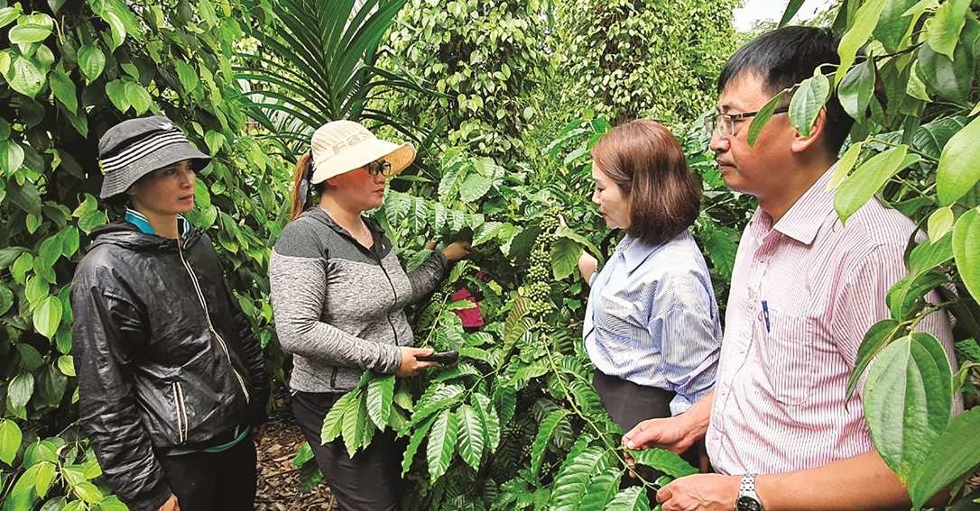 Ngân hàng không chỉ cho vay mà còn đồng hành, tư vấn để bà con nông dân nâng cao hiệu quả sử dụng vốn