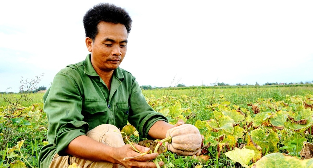 Ngân hàng hỗ trợ người dân ở ấp 2 xã Đắk Lua phát triển sản xuất