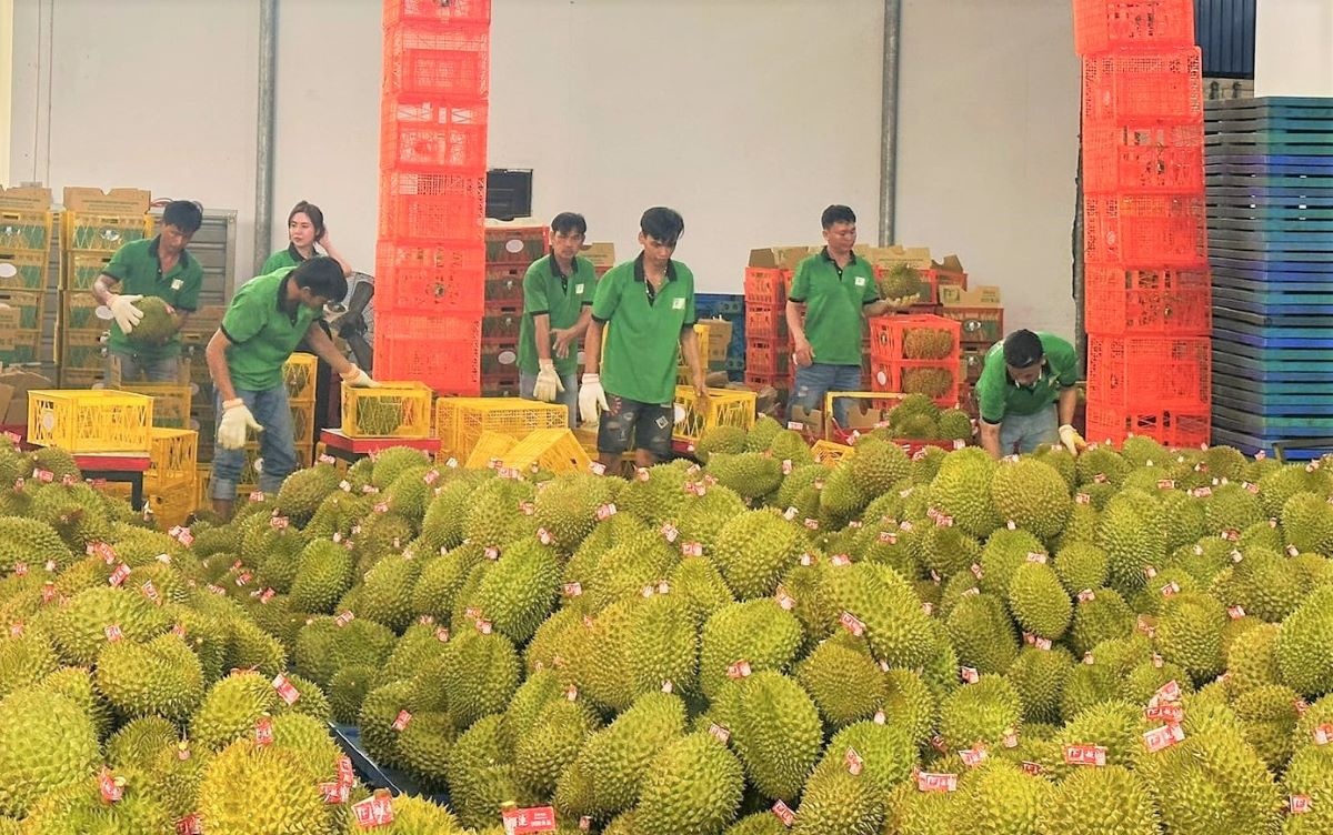 Xuất khẩu nông lâm thủy sản tăng trưởng biến động toàn cầu