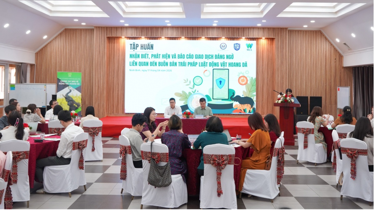 Nhận diện giao dịch đáng ngờ liên quan đến buôn bán trái phép động vật hoang dã