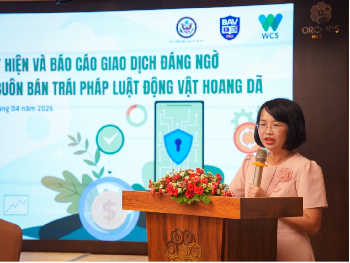PGS. TS. Phạm Thị Hoàng Anh, Phó Giám đốc Học viện Ngân hàng phát biểu khai mạc khoá tập huấn tại TP. Hồ Chí Minh