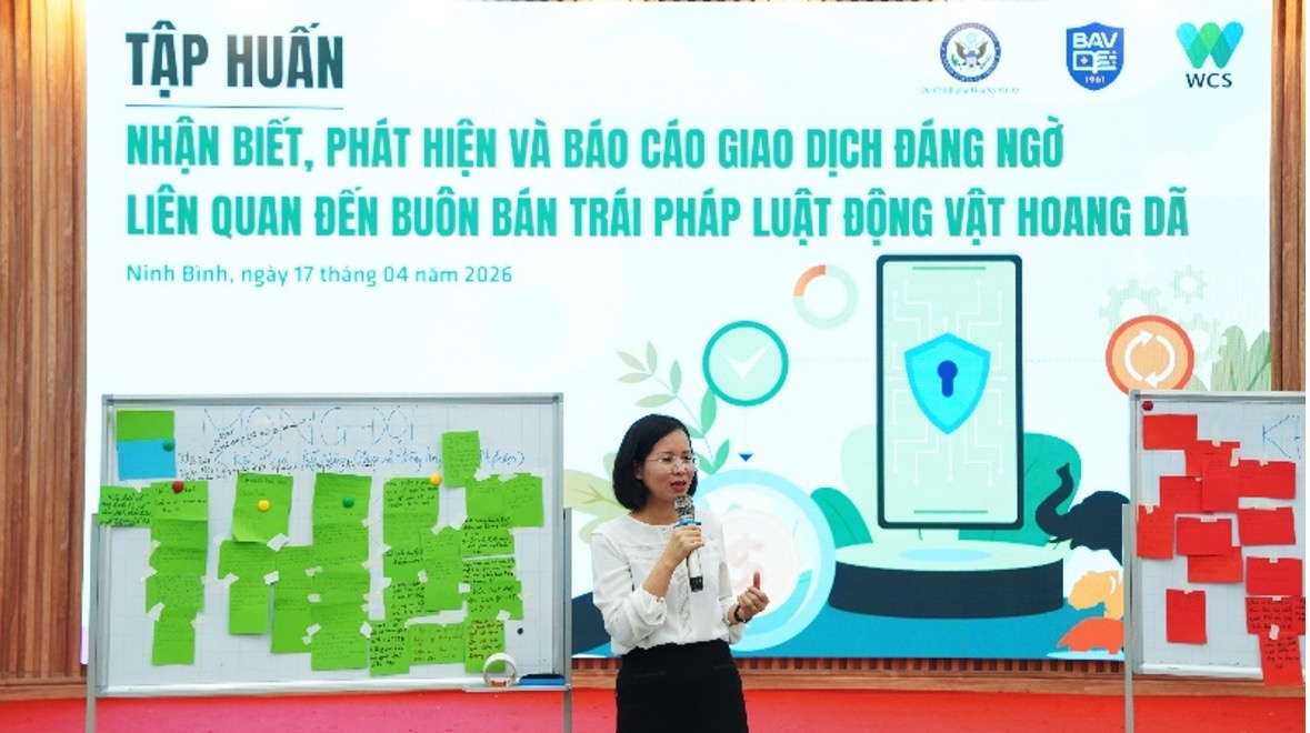 Nhận diện giao dịch đáng ngờ liên quan đến buôn bán trái phép động vật hoang dã