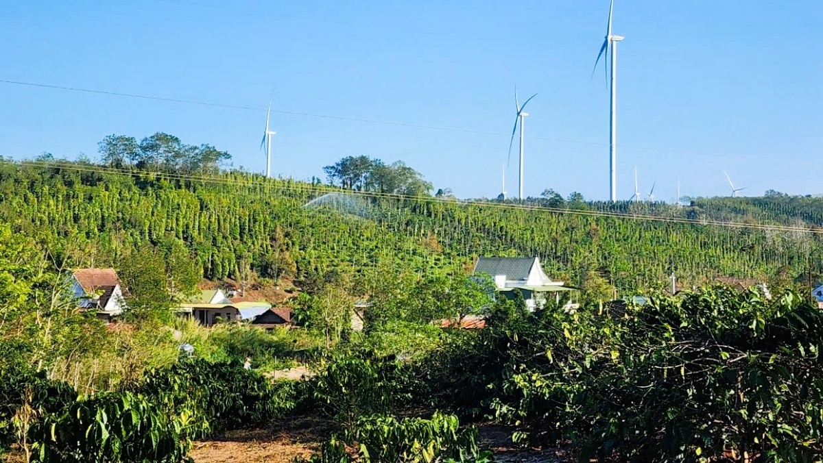 Nguồn vốn ưu đãi mở thêm cơ hội mưu sinh bền vững cho những người sau cai nghiện ở Lâm Đồng.