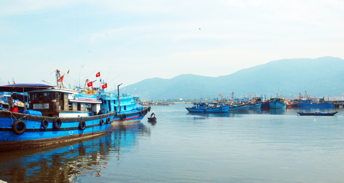 Đà Nẵng quyết liệt chống khai thác IUU Đà Nẵng quyết liệt chống khai thác IUU
