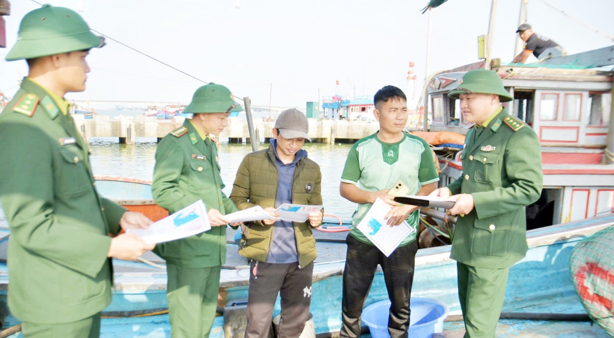 Đà Nẵng quyết liệt chống khai thác IUU Đà Nẵng quyết liệt chống khai thác IUU