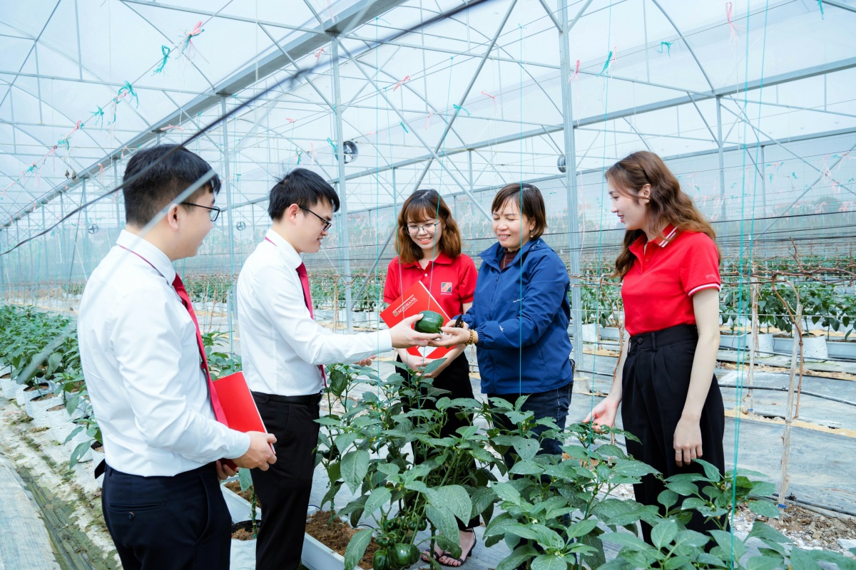 Khơi thông dòng vốn xanh cho phát triển bền vững