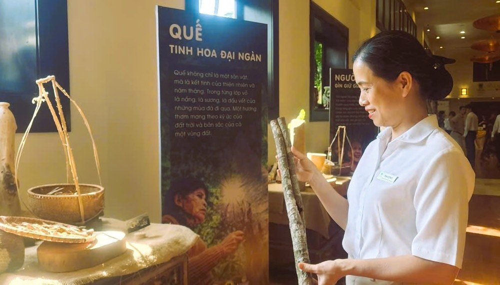 Du lịch là “cánh cửa” quan trọng để đưa sản vật vùng cao, trong đó có Quế Trà My tiếp cận thị trường rộng lớn hơn. 