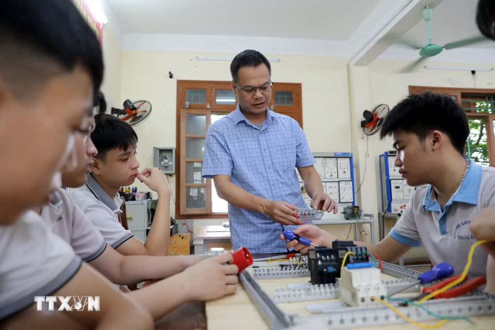 Mỗi viên chức chỉ được là giảng viên đồng cơ hữu của một cơ sở giáo dục Mỗi viên chức chỉ được là giảng viên đồng cơ hữu của một cơ sở giáo dục