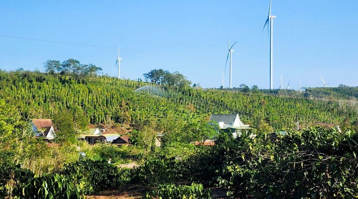 cần sớm hoàn thiện hành lang pháp lý, cơ chế huy động vốn và tiêu chuẩn quốc tế liên quan đến tín chỉ carbon. cần sớm hoàn thiện hành lang pháp lý, cơ chế huy động vốn và tiêu chuẩn quốc tế liên quan đến tín chỉ carbon.