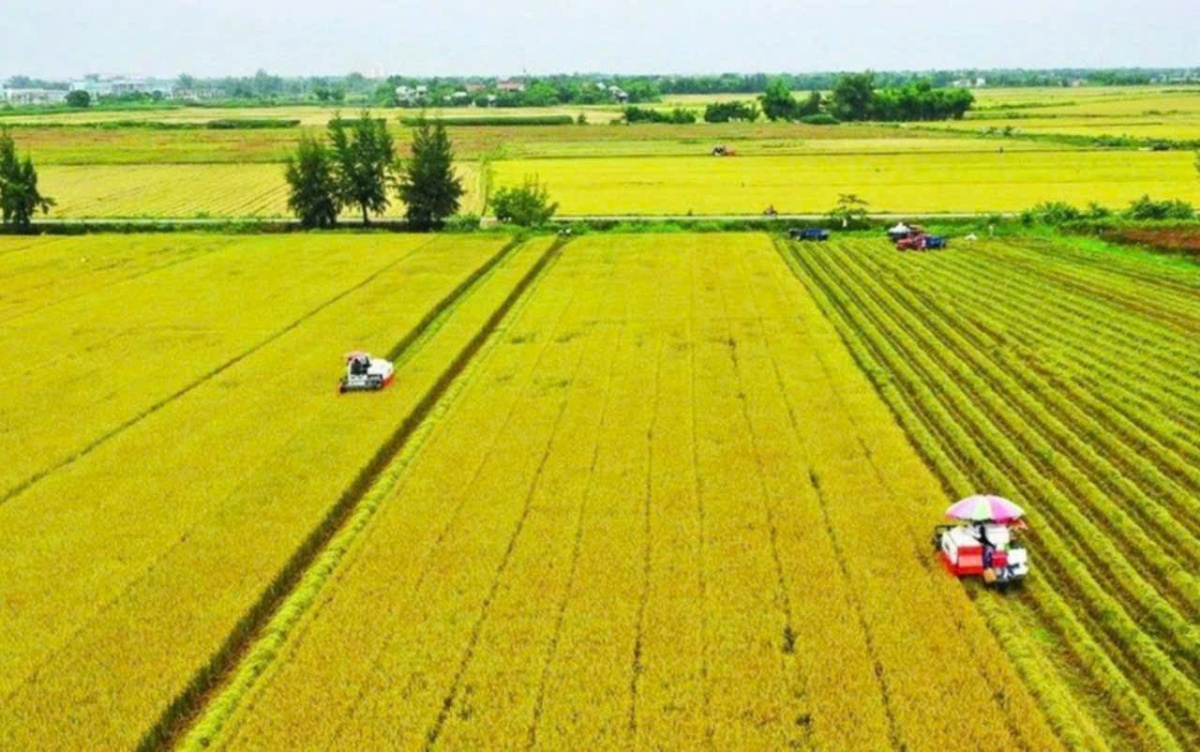 Không chỉ tín dụng, cần hoàn thiện hệ sinh thái tài chính cho nông nghiệp xanh Không chỉ tín dụng, cần hoàn thiện hệ sinh thái tài chính cho nông nghiệp xanh