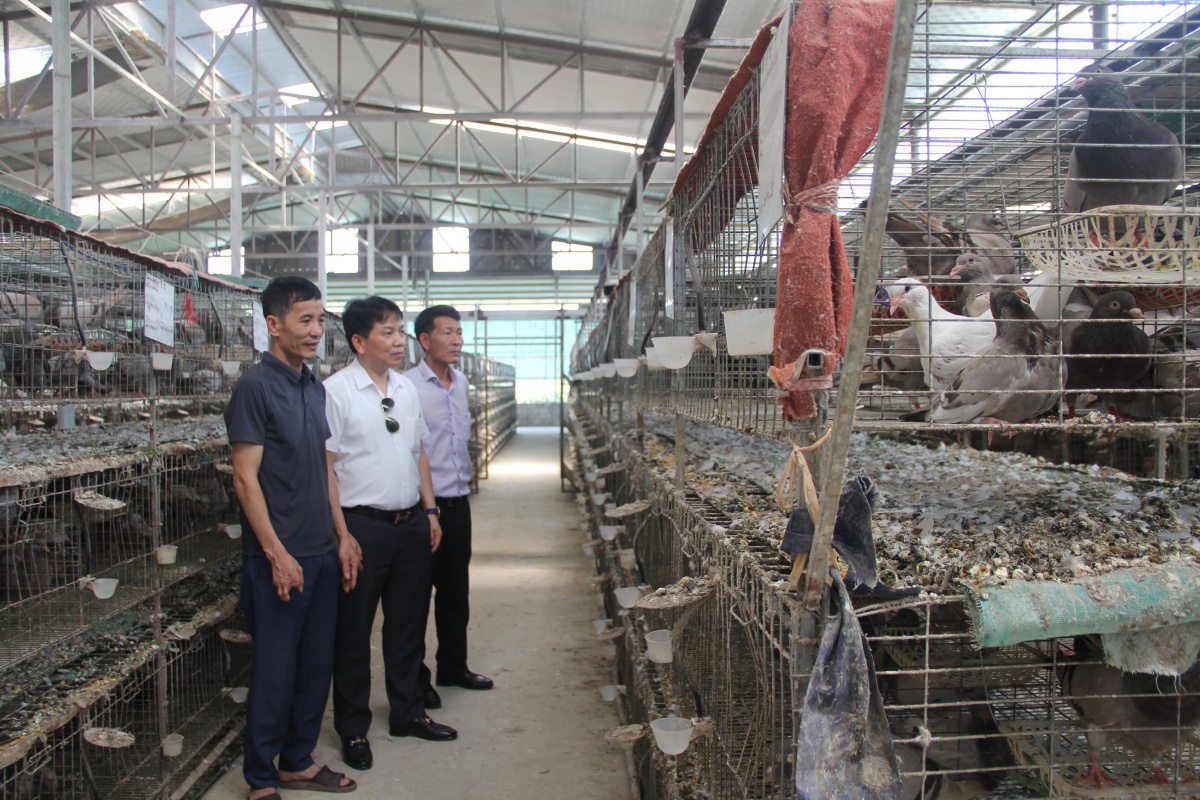 Cho vay tam nông vẫn là một trong những lĩnh vực ưu tiên đẩy mạnh ở khu vực . Cho vay tam nông vẫn là một trong những lĩnh vực ưu tiên đẩy mạnh ở khu vực .