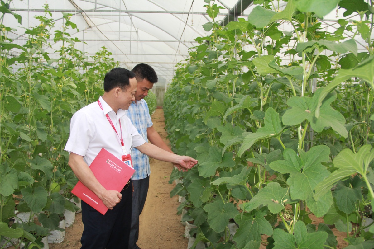 Dòng vốn ngân hàng đã và đang tạo lực đẩy cho tăng trưởng kinh tế ở khu vực Dòng vốn ngân hàng đã và đang tạo lực đẩy cho tăng trưởng kinh tế ở khu vực