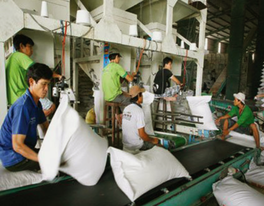 quan tâm đến yếu tố truy xuất nguồn gốc, kiểm dịch thực vật, trách nhiệm môi trường và mức độ phát thải trong quá trình sản xuất. quan tâm đến yếu tố truy xuất nguồn gốc, kiểm dịch thực vật, trách nhiệm môi trường và mức độ phát thải trong quá trình sản xuất.